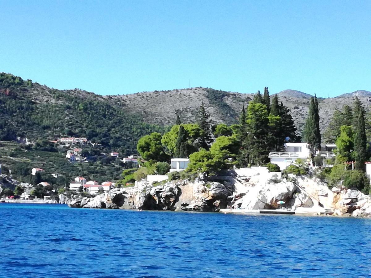 Beach House On The Cliff Zaton  Esterno foto