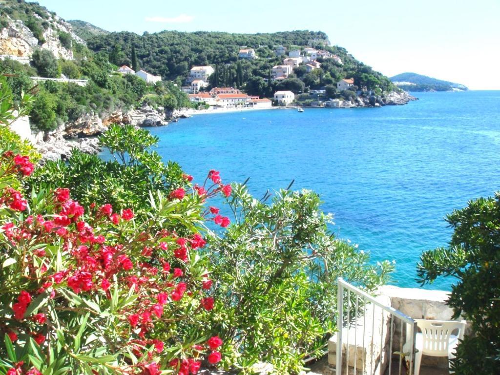 Beach House On The Cliff Zaton  Esterno foto